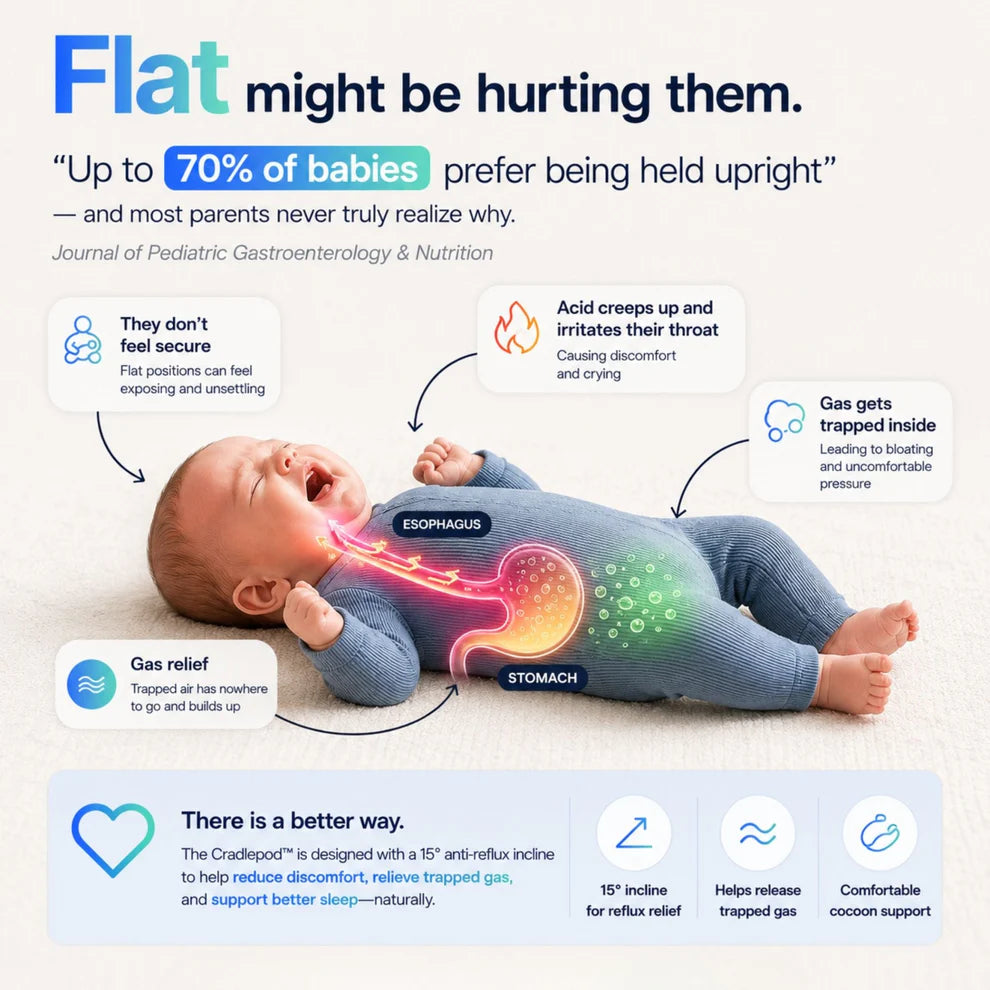RestNest™ –For Colic and Reflux